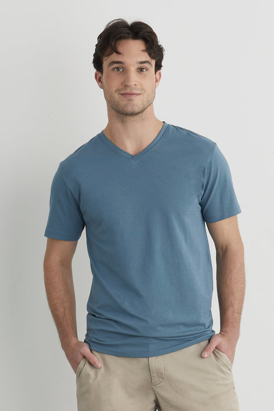 Men's Organic Cotton V-Neck T-Shirt (Discontinued Color)
