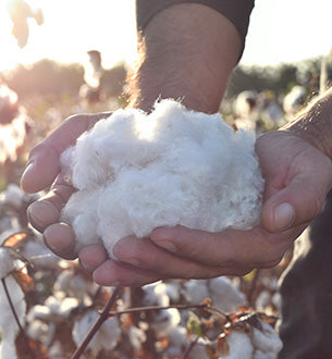 organic pima cotton from Peru - organic clothes